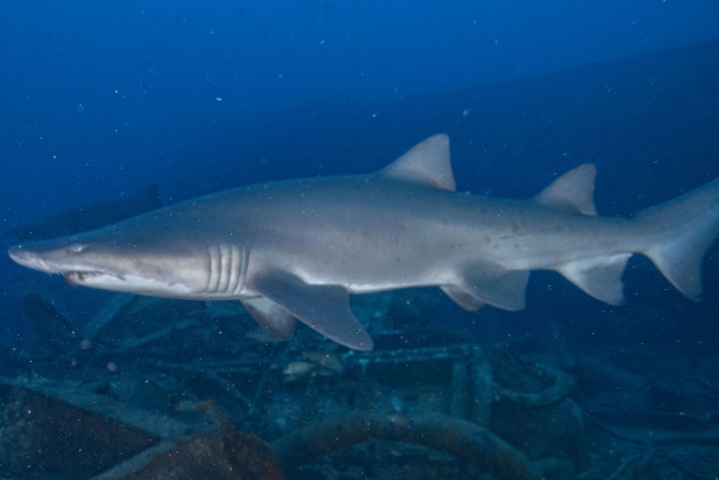 803e8249-aefc-4064-8fb5-47bded9bce27