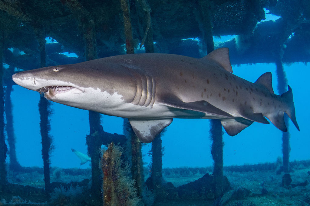 803e8249-aefc-4064-8fb5-47bded9bce27