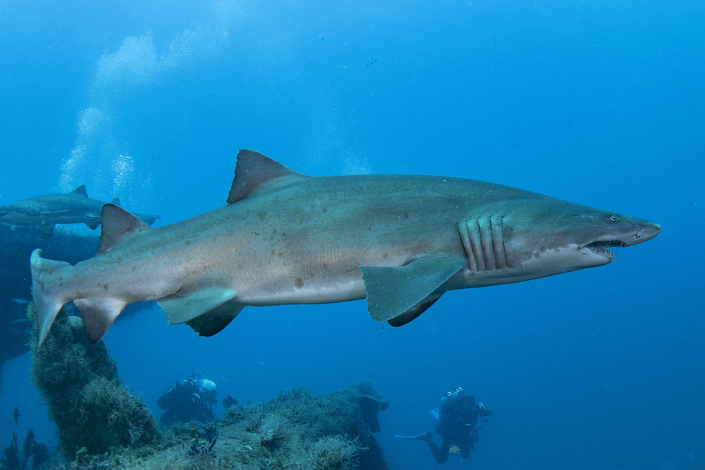 803e8249-aefc-4064-8fb5-47bded9bce27