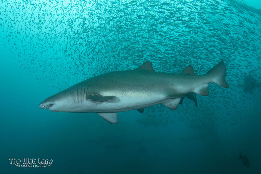 cdeb439f-cf94-48fe-915e-907bd1bd6efa