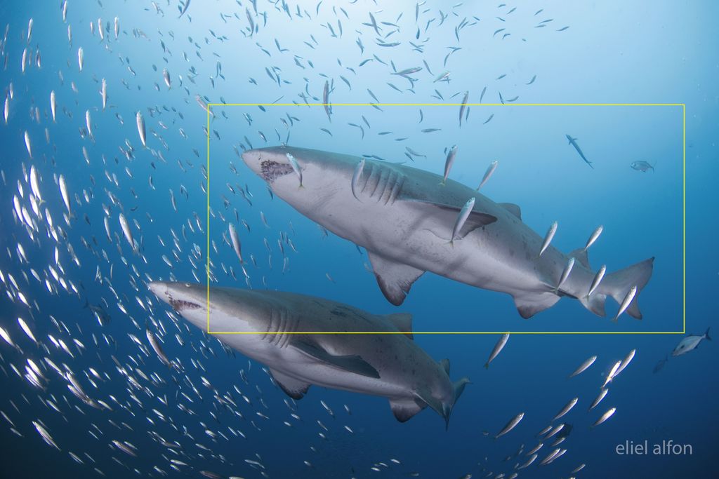 4260dfcf-94af-485c-846a-6cba56885fd8