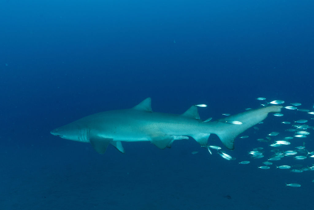 bc4fb02c-64cf-4440-9f61-aab06eb948db