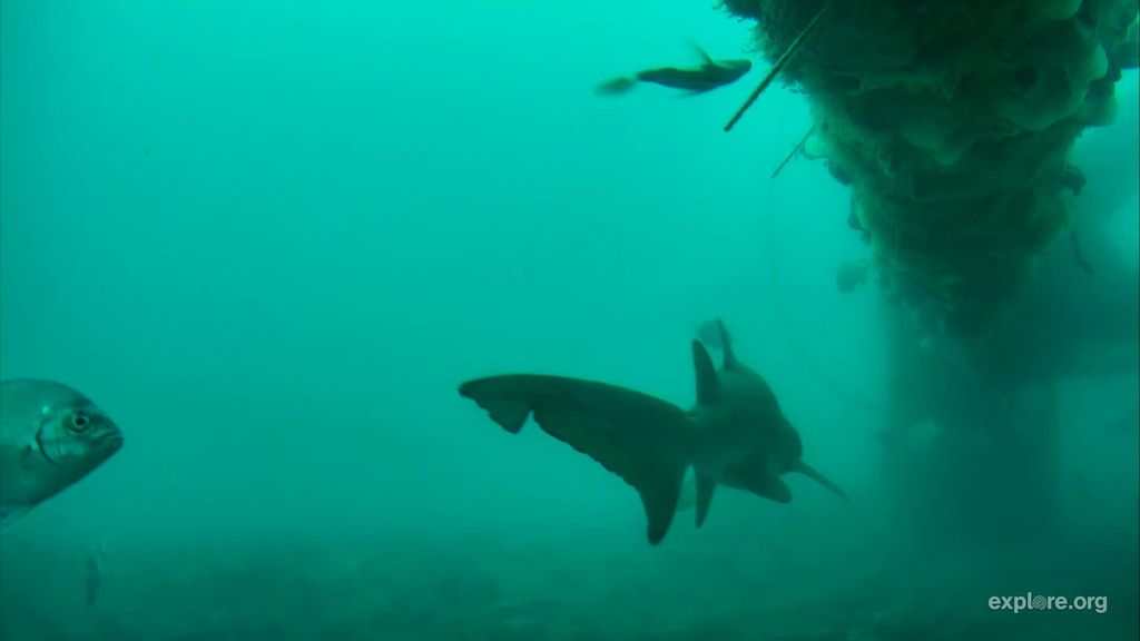 134bf251-8537-4bb6-a32b-ab735d03da67