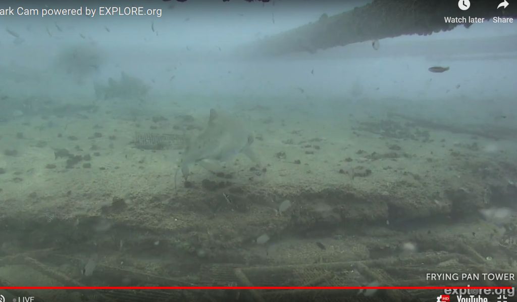 46d2a1fe-aff3-4a47-a9a7-629689ba43bb