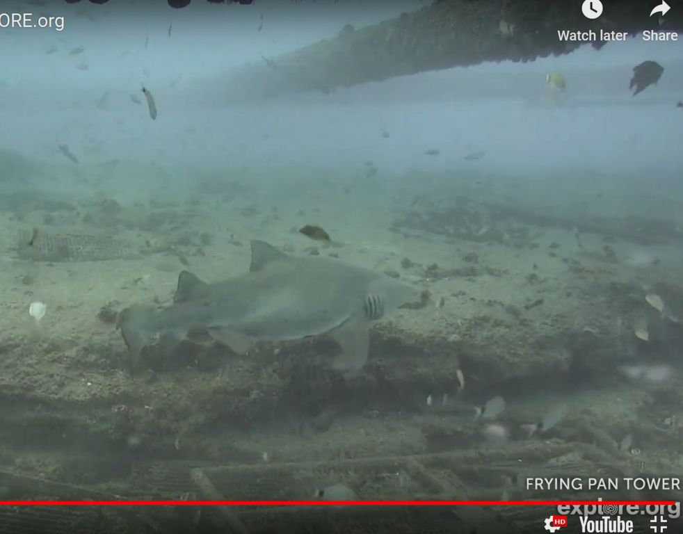 46d2a1fe-aff3-4a47-a9a7-629689ba43bb