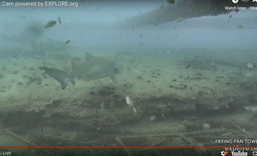 46d2a1fe-aff3-4a47-a9a7-629689ba43bb