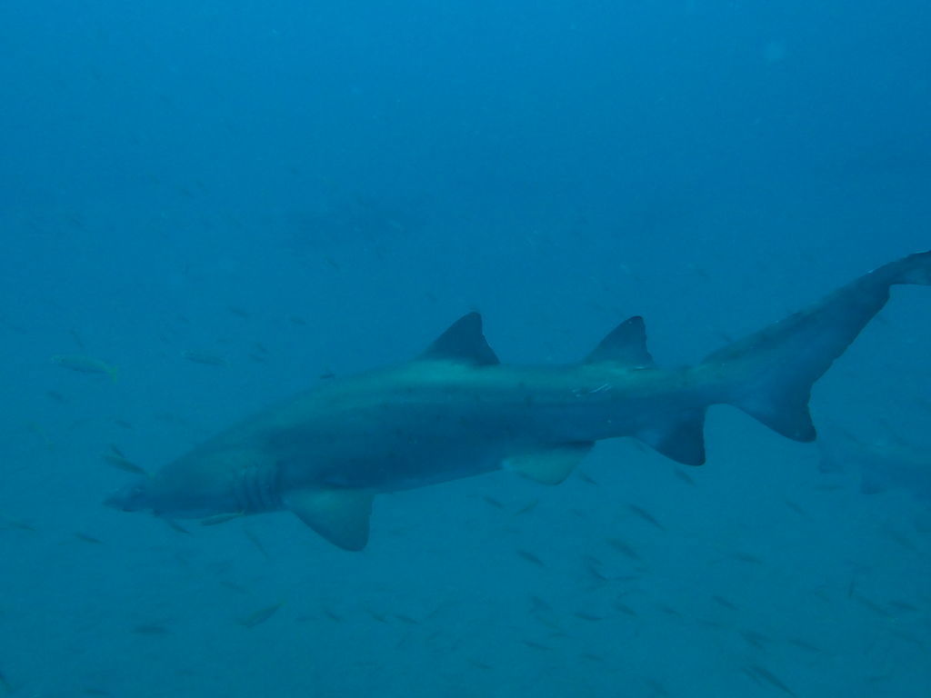 39cc4854-1dee-482b-80fb-3a7fef41229a