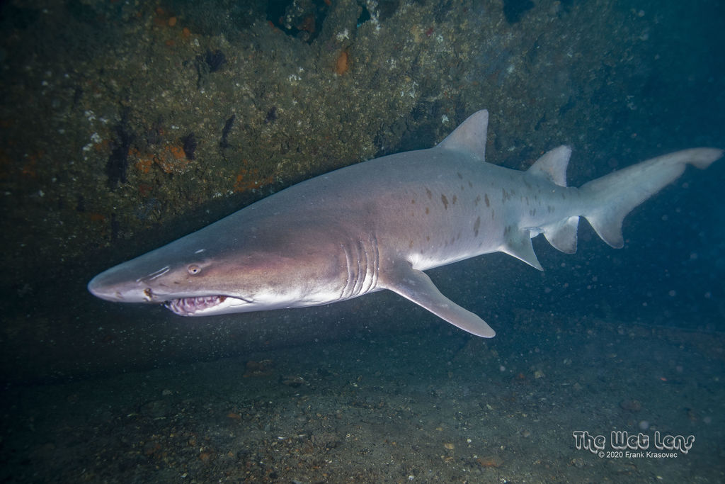 a2c394d1-5054-4959-af63-8a0da0b38d4a