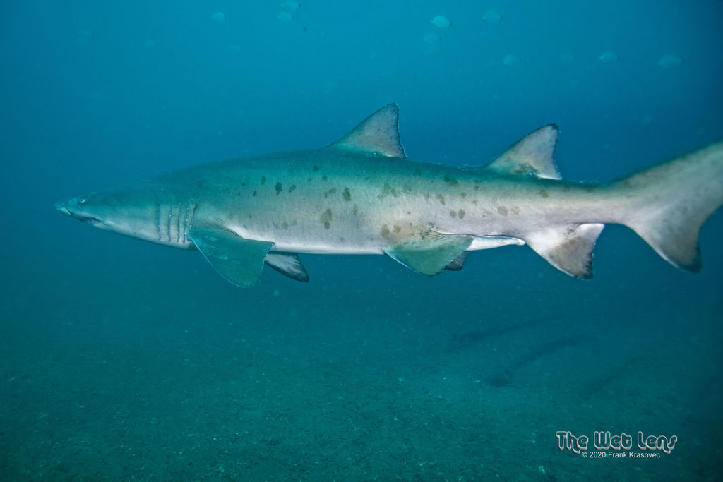 a2c394d1-5054-4959-af63-8a0da0b38d4a