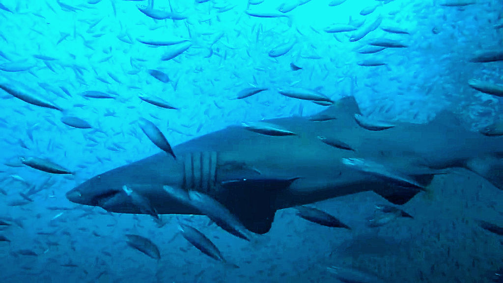 9abbee37-4f44-4289-b7be-e59f80ead336