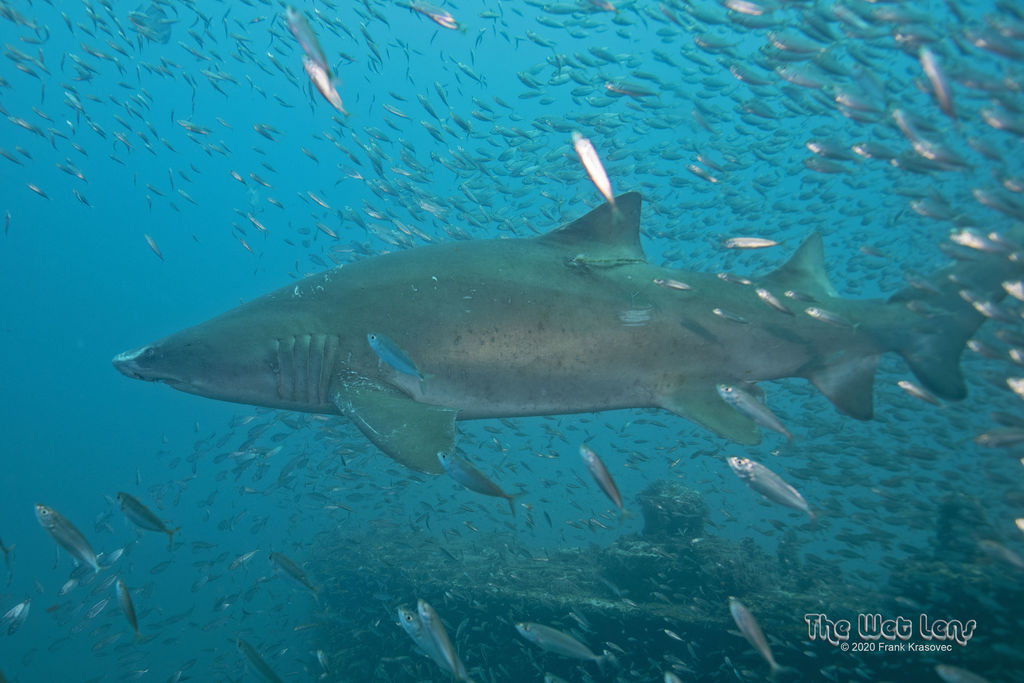 ee324b2e-32a5-4ddb-8673-dd6ce76ca9b4