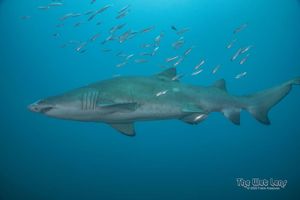 ee324b2e-32a5-4ddb-8673-dd6ce76ca9b4