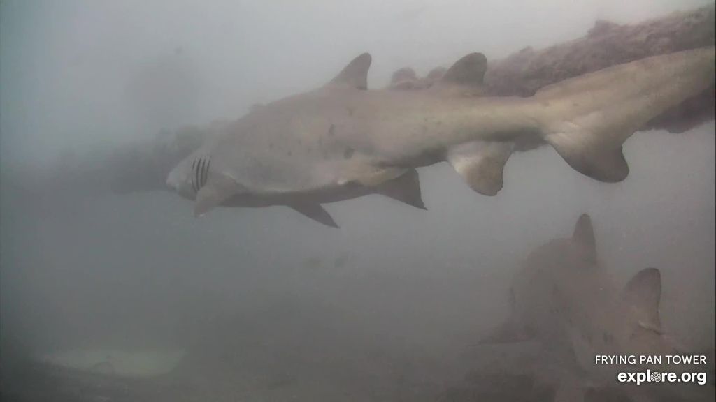 365e1fc2-c1c3-44cf-9bb1-269ae41b550b