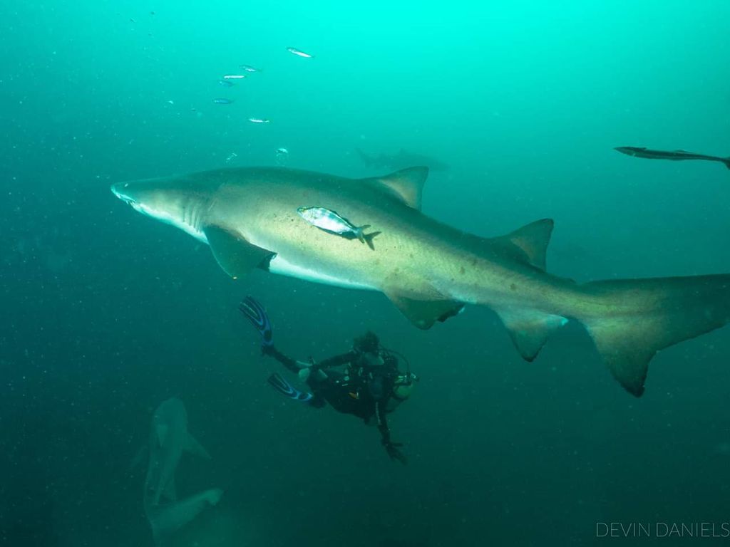 31d336c3-bb26-42bc-a3e7-f265e79756e3