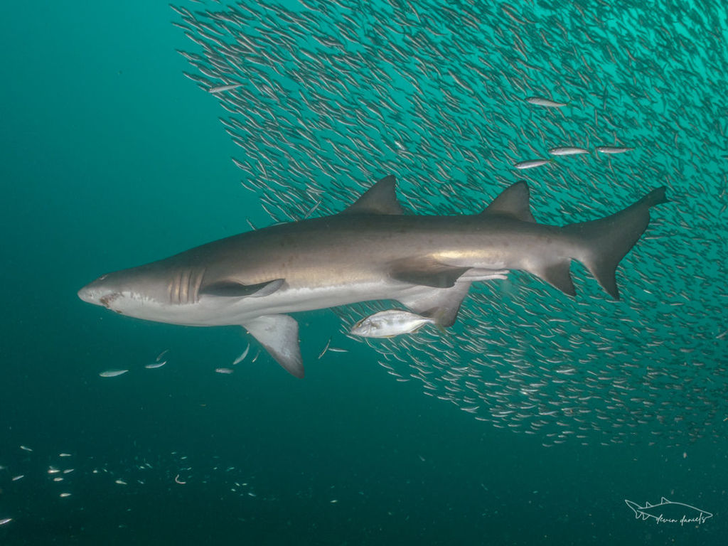 4f70147e-0608-48b2-9e7d-60d5068251be