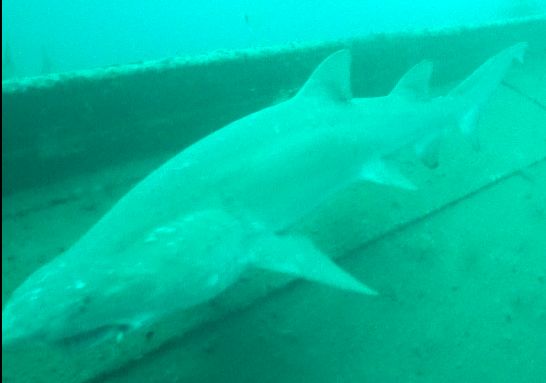 612f8372-8175-4e11-982e-8540ac9b4b35