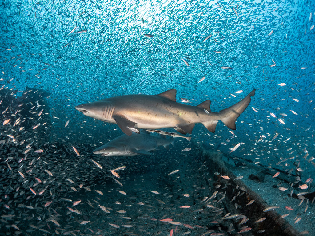 976db5c0-d1ca-4d8b-a022-546bbe334727