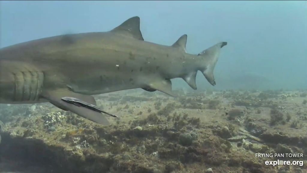 a1cad66c-3563-4f84-8f46-3446f9d72c17