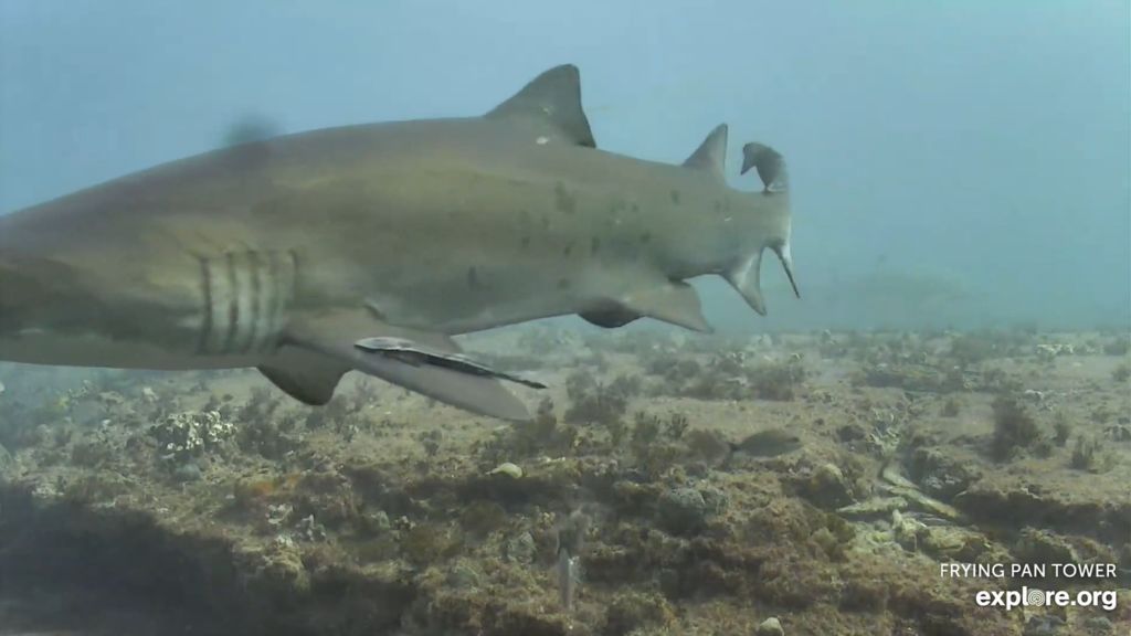 a1cad66c-3563-4f84-8f46-3446f9d72c17