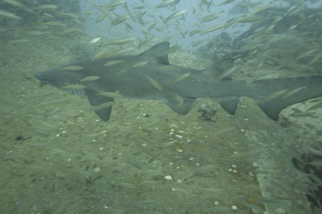 db509d1d-6fb8-4d22-8f67-9124021af9eb