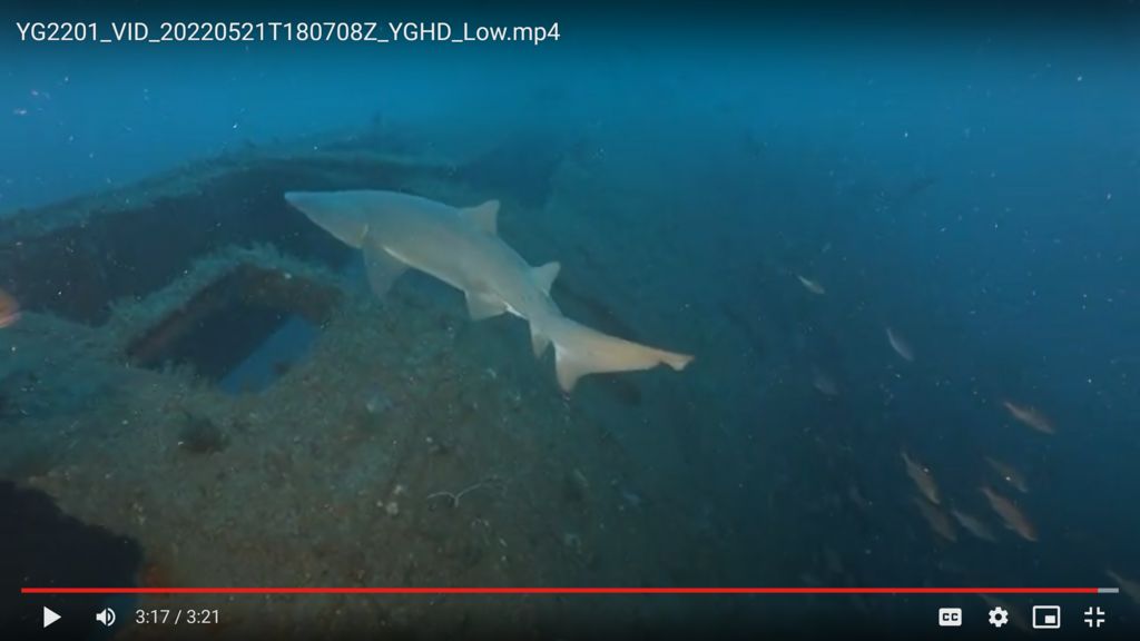 453c4897-ae65-4efc-8dae-248003a1f172