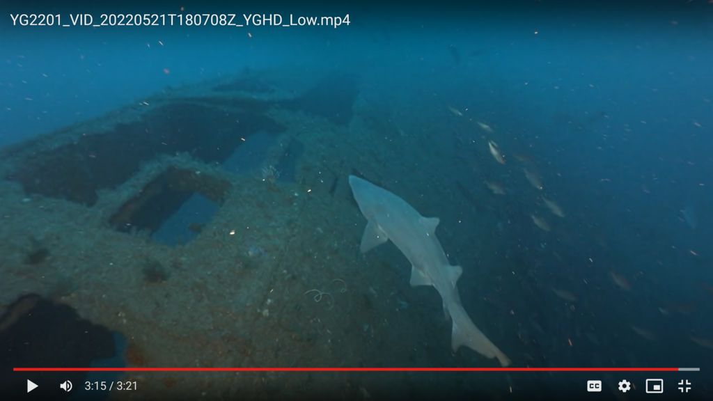 453c4897-ae65-4efc-8dae-248003a1f172