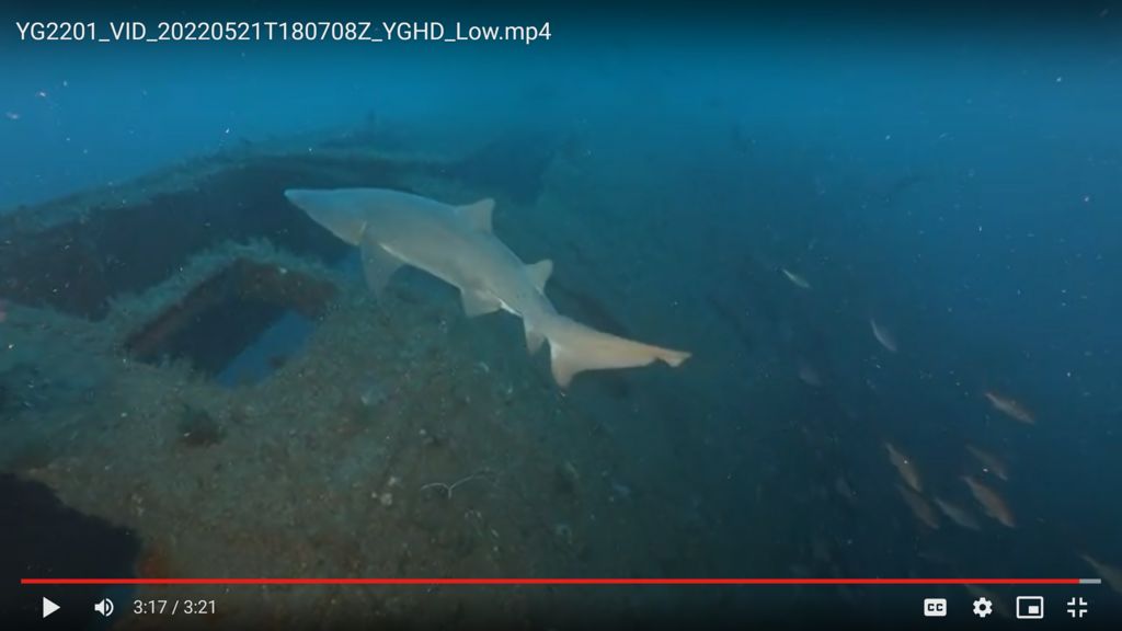 453c4897-ae65-4efc-8dae-248003a1f172