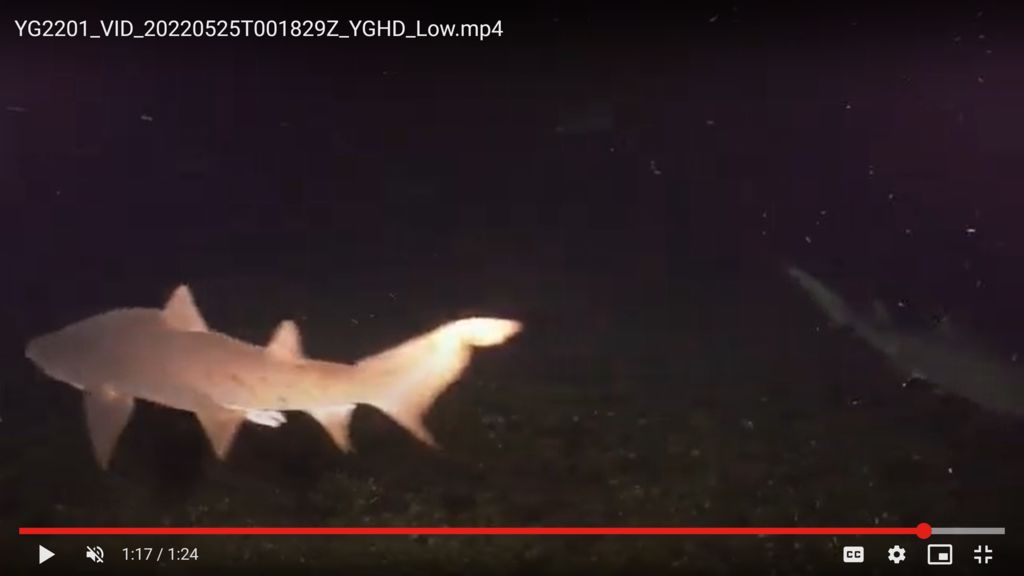 b99ba7de-6d45-4b21-9ffb-f48bf0cf60e6