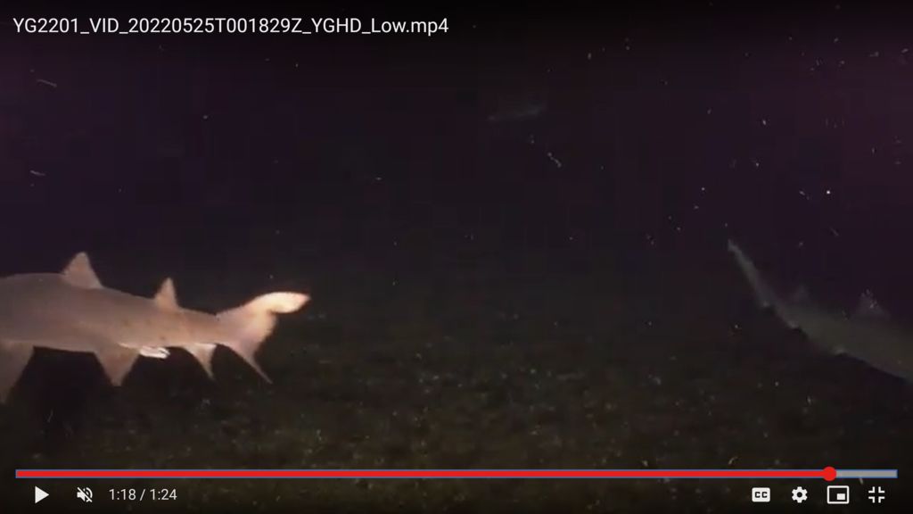 b99ba7de-6d45-4b21-9ffb-f48bf0cf60e6