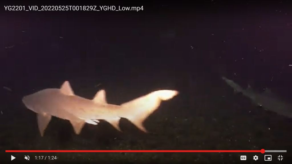 b99ba7de-6d45-4b21-9ffb-f48bf0cf60e6