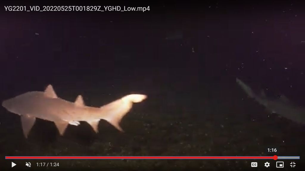 b99ba7de-6d45-4b21-9ffb-f48bf0cf60e6