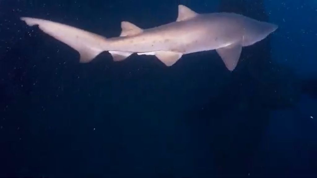 528b89ba-1ec9-41b2-b883-0d5cb99ad18e