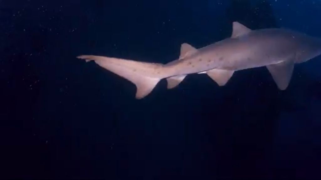 528b89ba-1ec9-41b2-b883-0d5cb99ad18e