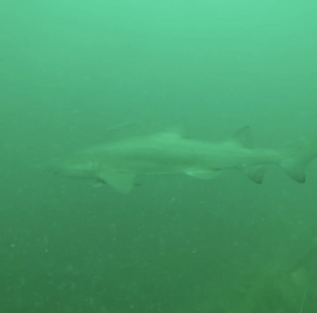 ec6cc637-dc5a-49b9-92fa-07e25bde4900