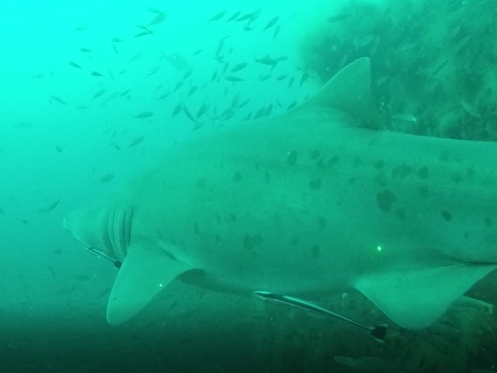 7894d6e6-cef0-424a-97d6-2168db43f215