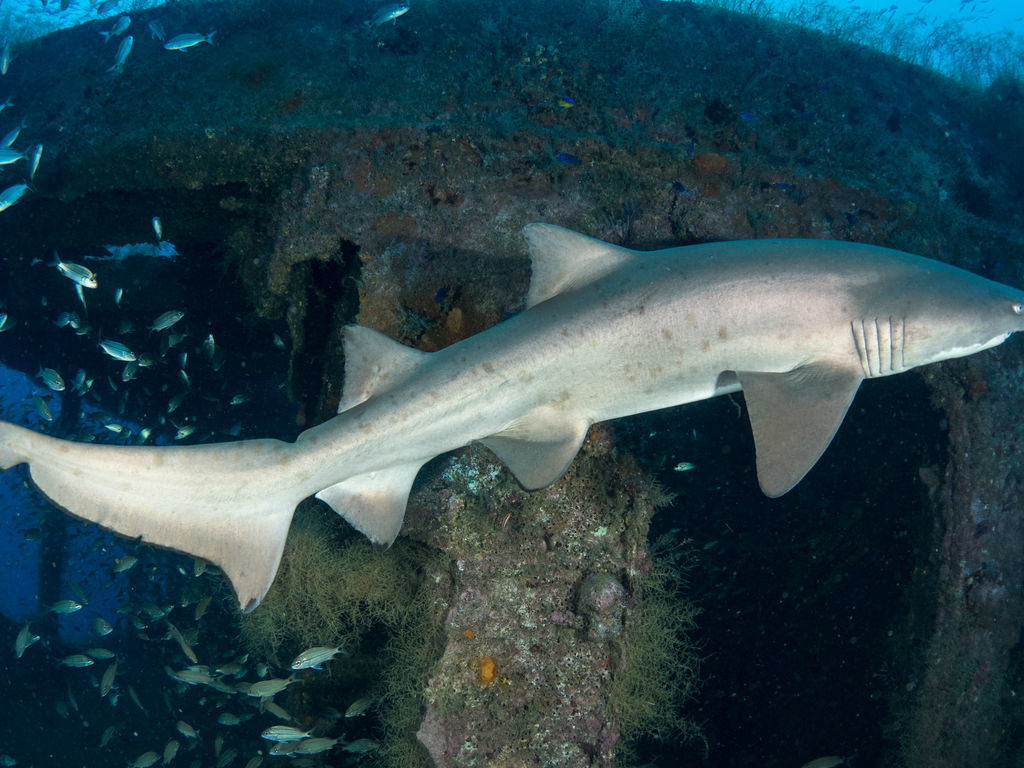 282056c4-8264-4555-8202-d33314965fff