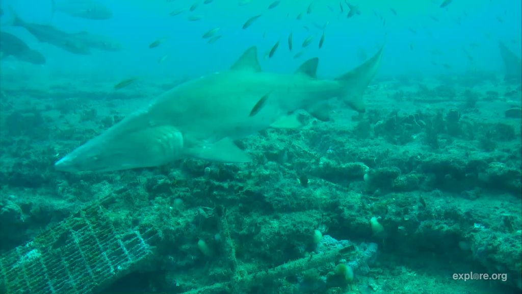 7b4961c1-0571-48a0-ac96-72e1718f967d