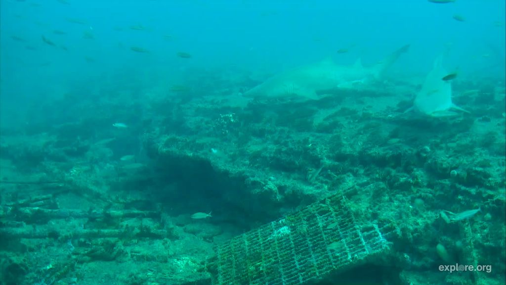 7b4961c1-0571-48a0-ac96-72e1718f967d