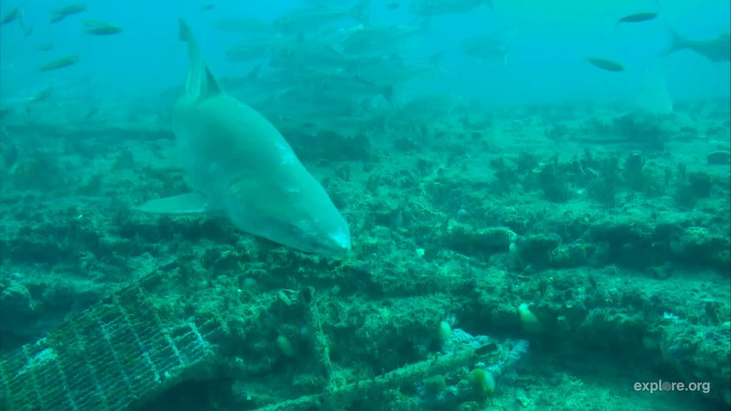 7b4961c1-0571-48a0-ac96-72e1718f967d