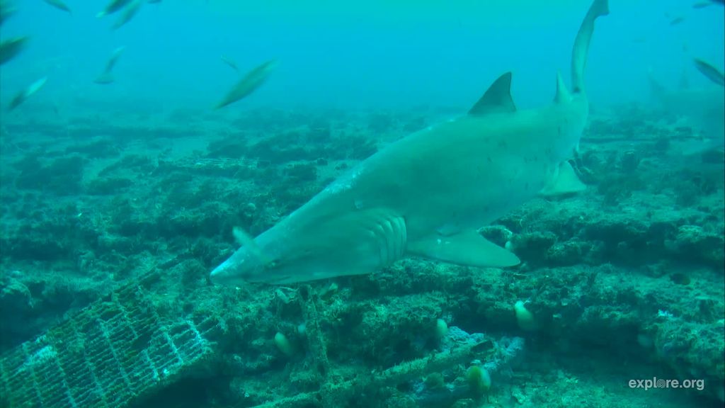 7b4961c1-0571-48a0-ac96-72e1718f967d