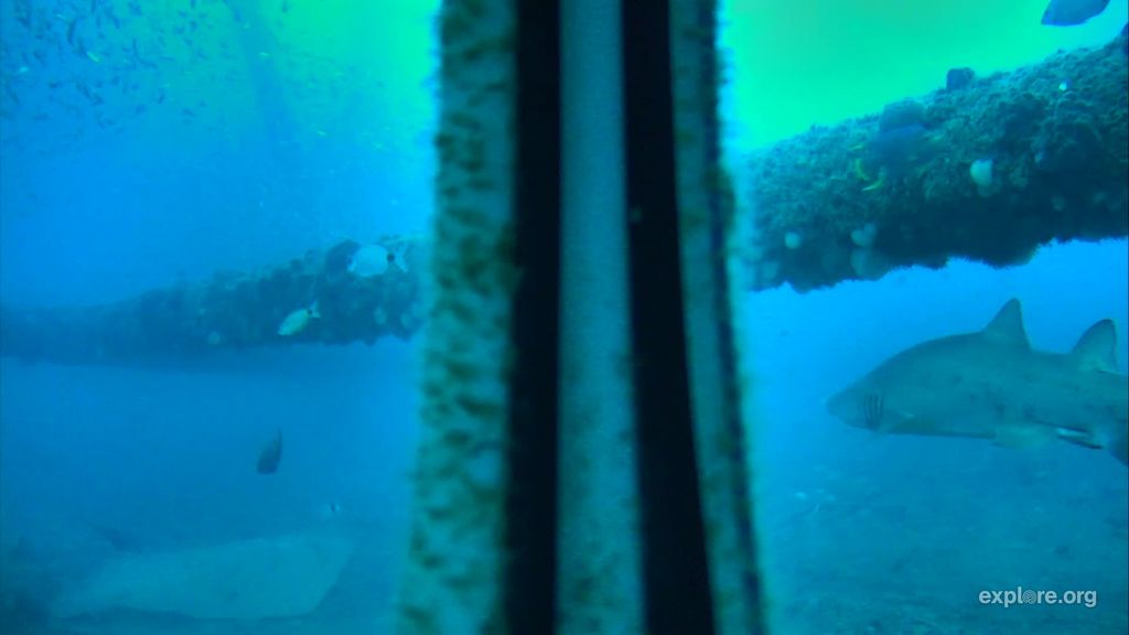 1e1b44d7-494a-4c24-99d0-5bfba6a74e99