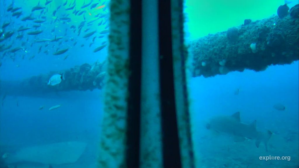 1e1b44d7-494a-4c24-99d0-5bfba6a74e99