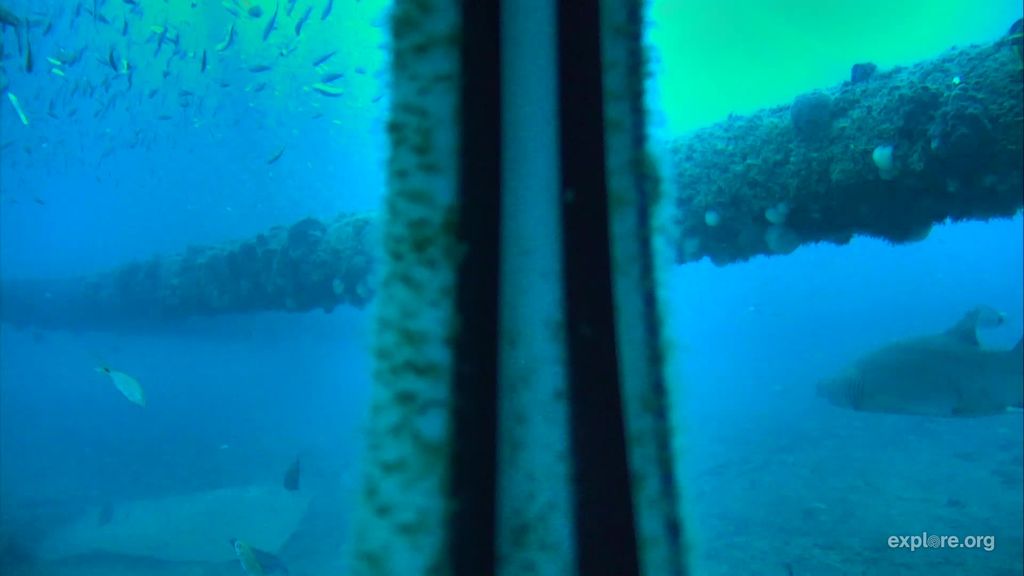 1e1b44d7-494a-4c24-99d0-5bfba6a74e99