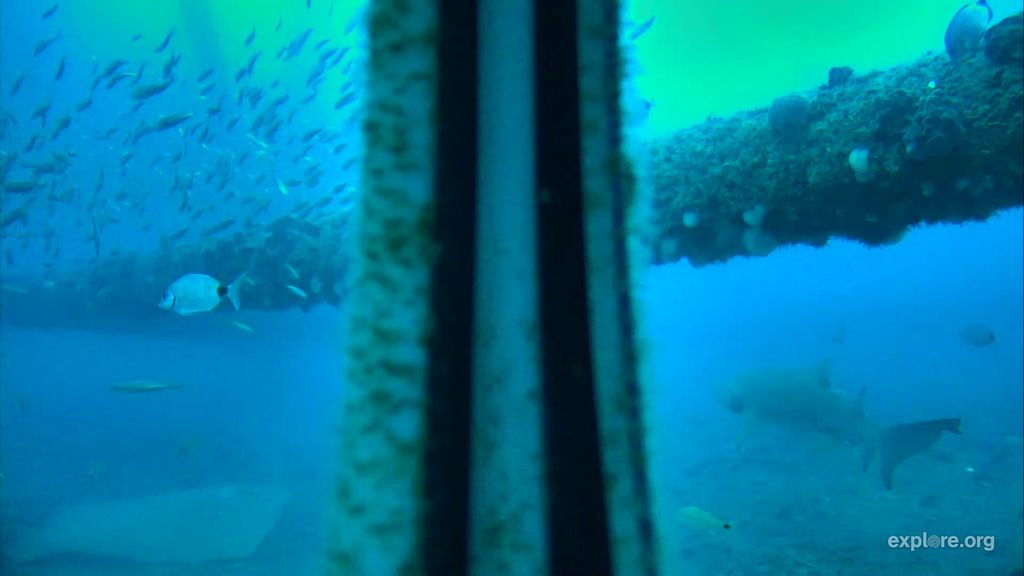 1e1b44d7-494a-4c24-99d0-5bfba6a74e99