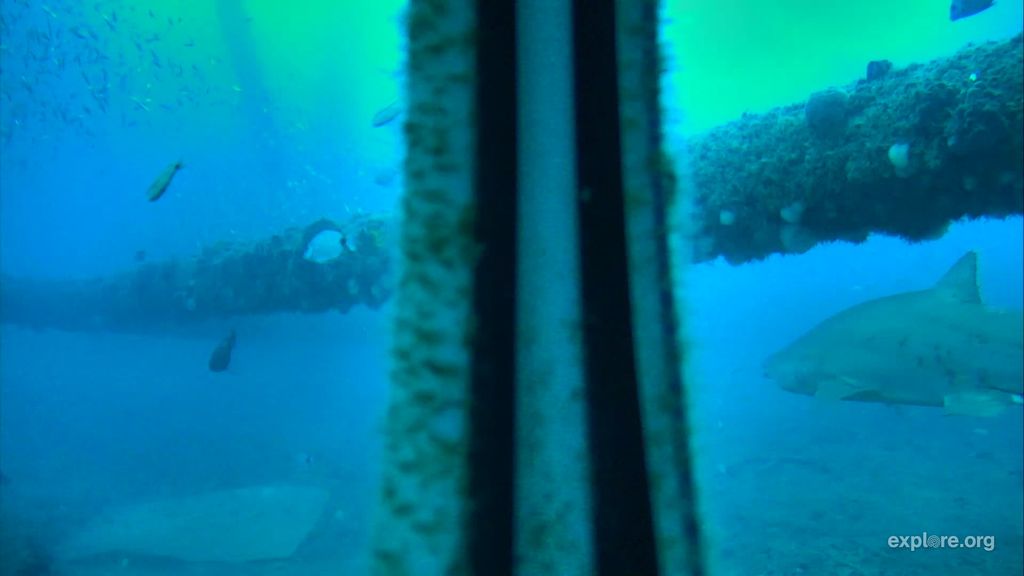 1e1b44d7-494a-4c24-99d0-5bfba6a74e99