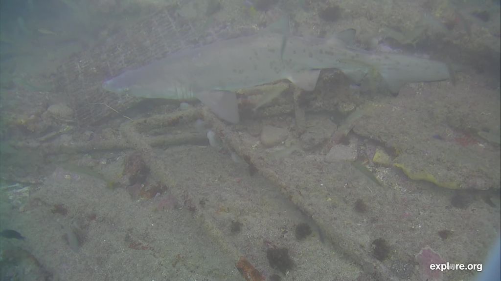 2045886b-8e0f-480c-9908-66fd17db420d