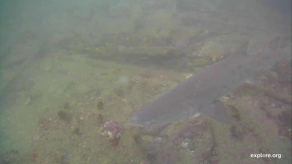 2045886b-8e0f-480c-9908-66fd17db420d