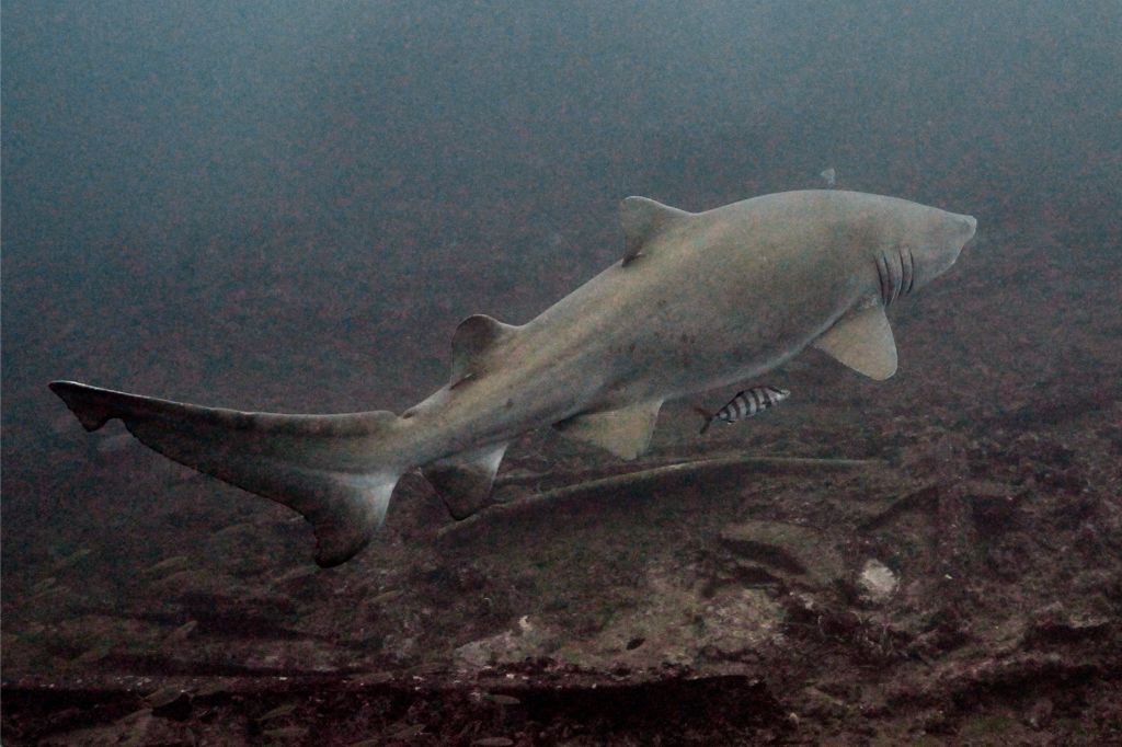 48ef9931-442a-458a-a1b1-b7b0037f44e4