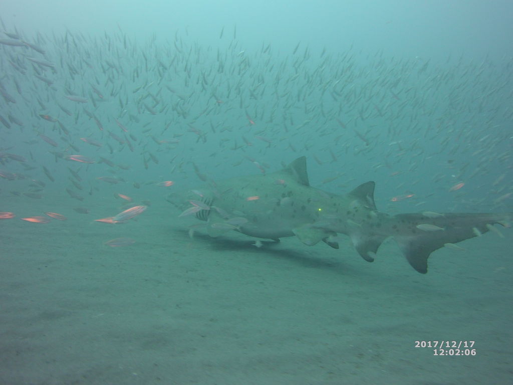 e5d5a4b2-8b13-4a18-aecc-5cc9f8c3c822