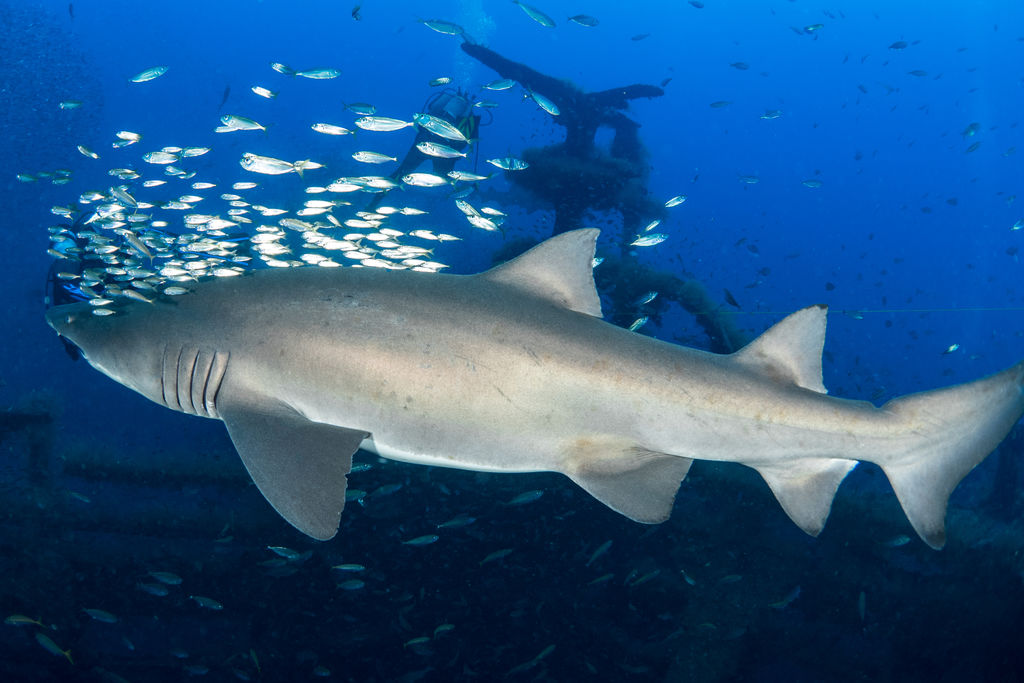 9de2a932-b0bd-463a-bc6b-746e23261598